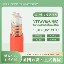 YTTWY ���ԵV��^��������| 4&times;50+1&times;25�����~�o���ͻ���|