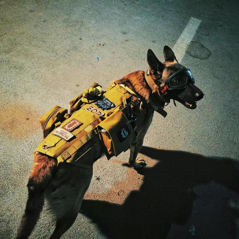 犬服中大型犬タクティカルベストペットゴールデンレトリバーガーデンダウジアストラップリードベストベスト|undefined