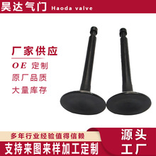 ����ֱ��A����.��ϵ�н������� valve  058109601C  058109611G