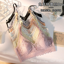 �ļ�����͸���ٽz����Ů�o�Ȧ�����@С�{�����ö���۔n������