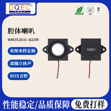 ����BOX2831ǻ������4&Omega;3W��������������������AI���ר������