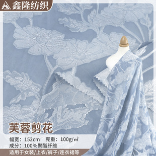 ܽ�ؼ����Ứ�� ���w�����Ứ���� 100g���ĕr�b�B��ȹ��������