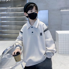 Children's Spring Outwear Sweatshirt and Polo Shirt for Boys 2024 New Arrival for Older Kids and Teenage Boys Spring Casual Top