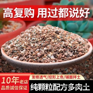 ���������àI�B�������w����ֲ��Nֲ�����ʯ�~�������̿�����