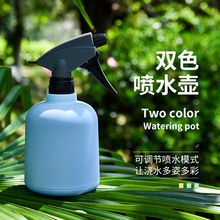 喷水壶浇花多肉喷雾瓶园艺小型家用洒室内消毒喷雾器小喷壶