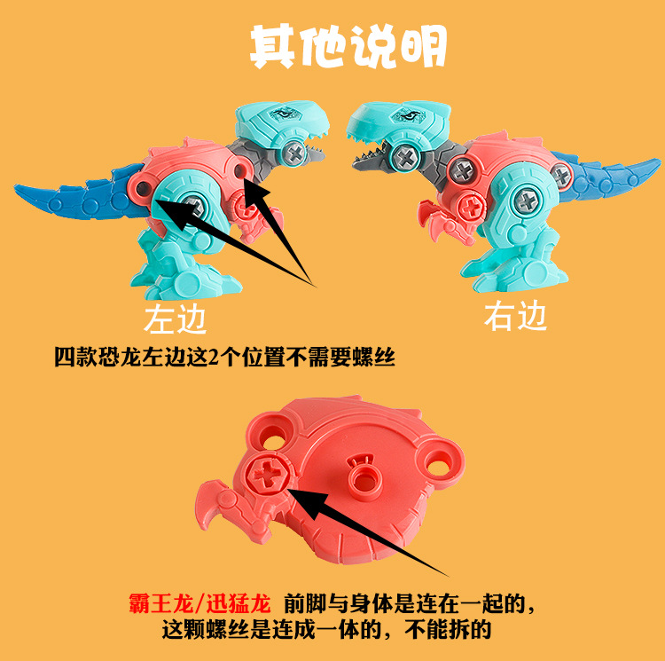 拆装恐龙详情_10.jpg