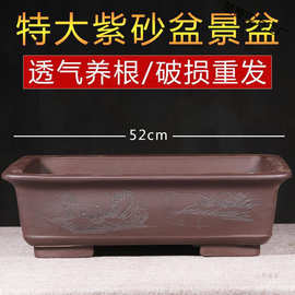 特大号长方形紫砂盆景盆假山老桩榕树花盆阳台种菜盆透气养根