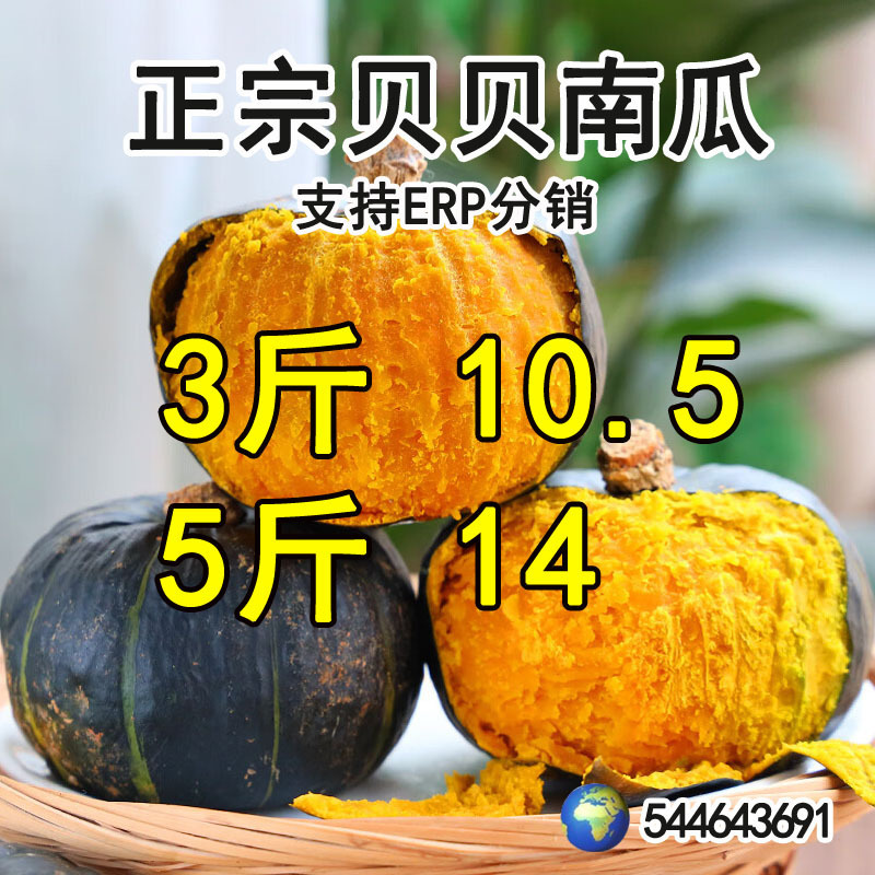 [in Stock] Beibei Pumpkin 2.5kg Directly Shipped from Origin, Fresh Chestnut Flavor Beibei Mini Pumpkin, Fresh Vegetables