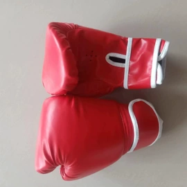 击剑武术用品;拳击用品;其他健身器材