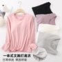 春秋款保暖无痕内搭内衣
