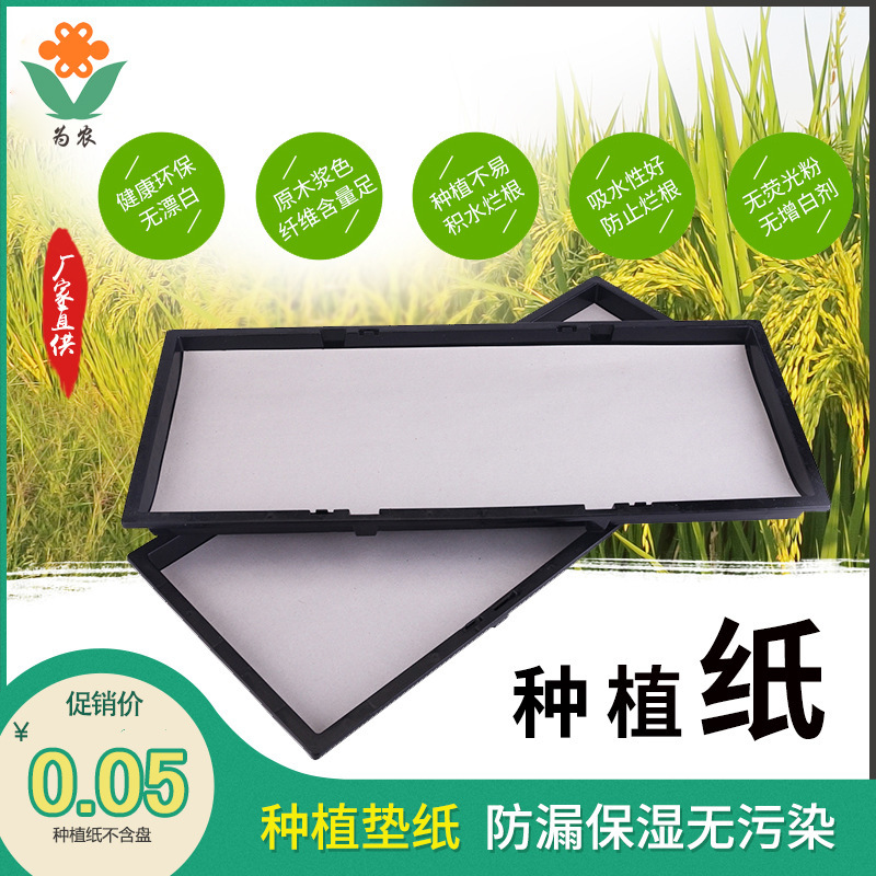 Paper Vegetables Soilless Culture Sprouts Vegetables Planting Paper Special Newsprint Seedling Paper Water Absorption Moisturizing Leak-proof