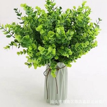 �ֹ����Ϸ���ֲ��GֲС���ȼ����������b�ˇƷ�[���쾰���l