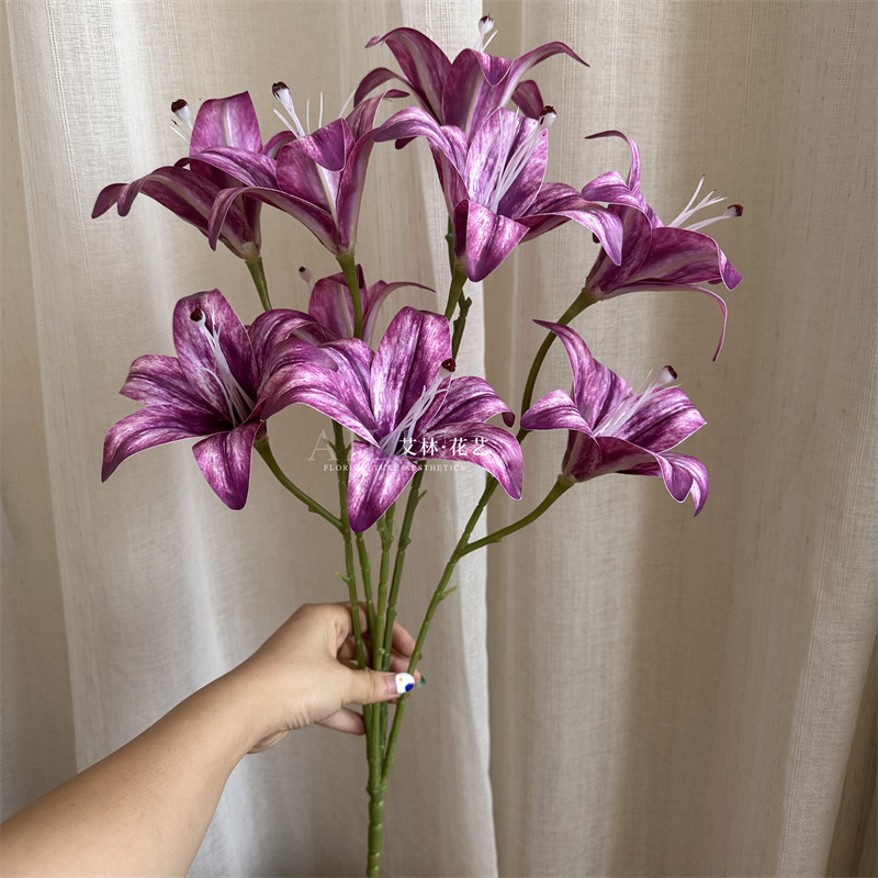 9 머리 백합의 높이는 약 45cm 입니다.