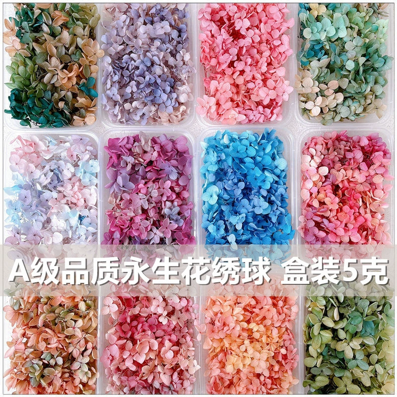 Сухоцветы, консервированные цветы, гортензии с градиентным переходом цвета, набор для творчества, украшение для лица, свадебные туфли, стеклянный купол, командообразующие мероприятия, флористика, свадебные торжества