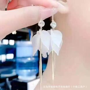 �׻�����G�������h2025�¿���|�߼��������W�t�p�ݻ�����Ů