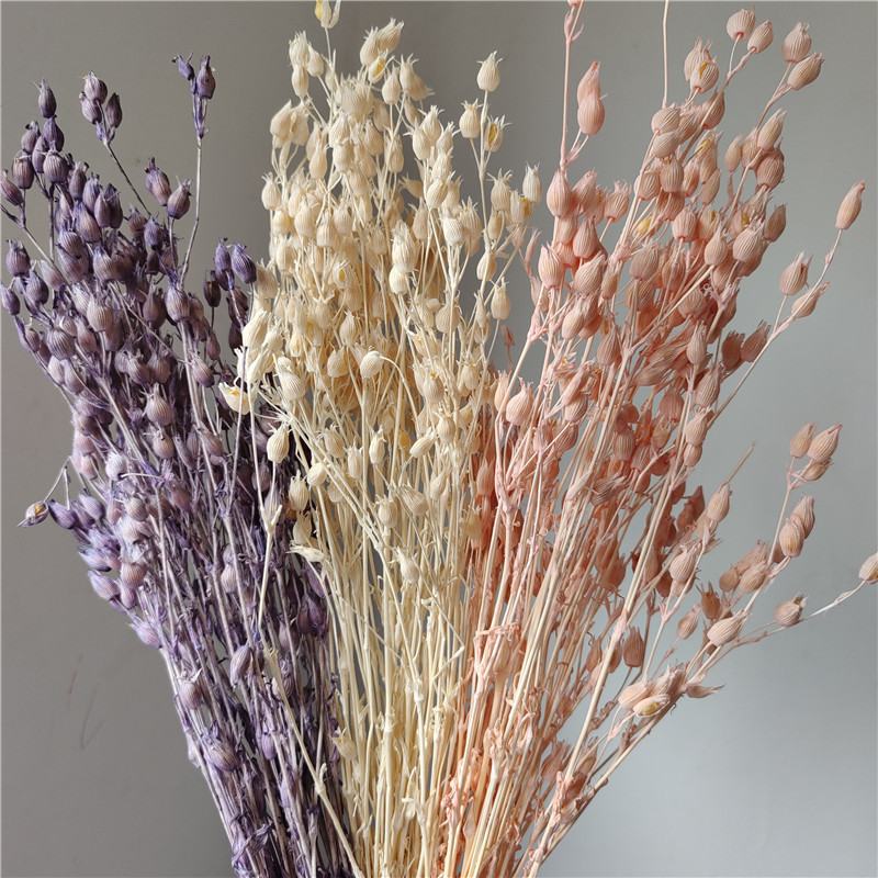 Fly grass dried flower ins wedding home decoration simulation flower diy flower arrangement material dried fruit real flower shooting bouquet