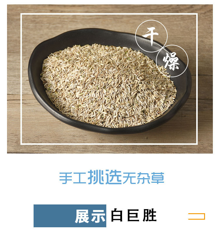 Bai Ju Sheng Seeds (Lactuca sativa) — Dried Food-Herb Lettuce Seeds for Tea & Soup in use