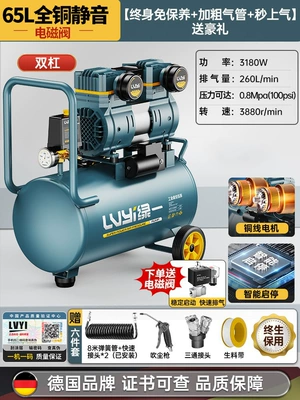 Hava kompressorları – Air Compressor Silent Air Pump - 65l-double-solenoid-valve-intelligent-start-and-stop-luxury-model
