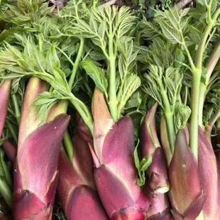 ����ѿ�˷N�Ӗ|���������N�Ӵ���ѿɽ��֮������ѿ�N����ɫ�߲���