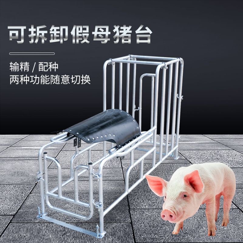 Rack de semilla de cerdas elevación rack de semilla de cerdo pie bajo rack de semilla de suelo galvanizado en caliente soporte de recolección de semilla