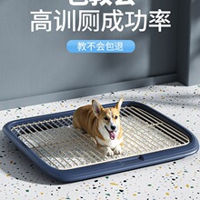 ������С�����ʹ���Ȯ�����茙�ﹷ������ʺ�Ƿ��P�FС������