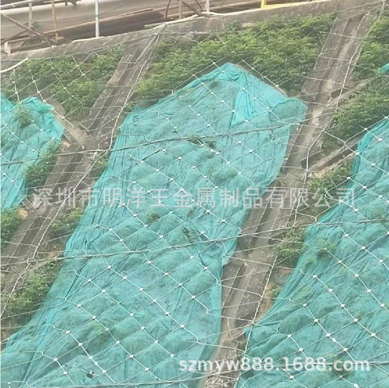 深圳明洋钢丝绳网被动边坡防护网 柔性山体滑坡防护网 生态治理
