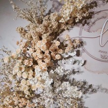 ��c�����㙉ɫ��픻� ��Y��·�����Ų廨�����w���ĵ��������