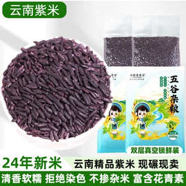 墨江紫米云南农家现碾新米大米饭团五谷杂粮粥米甜品烘焙食材