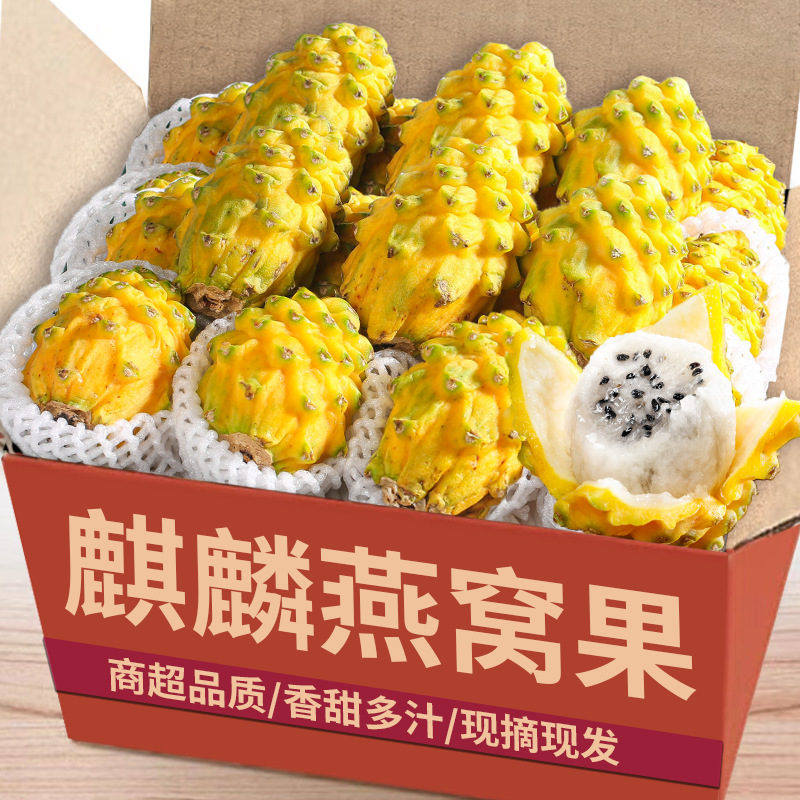 顺丰 5斤礼盒燕窝果新鲜火龙果白心麒麟果应当季孕妇水果整箱包邮