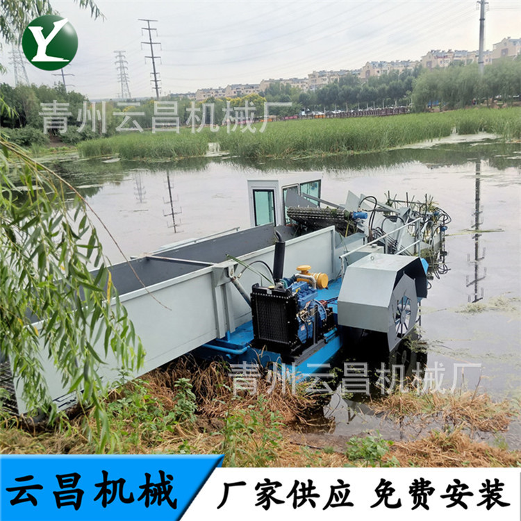 芦苇水草收割船 水面水白菜水花生收割打捞船 水浮莲蓝藻清理机