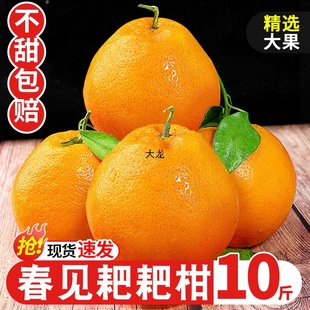 �Ĵ���Ҋ�ҰҸ�10�����rˮ�����Ӯ����Fժ��˹����θ̽۴��