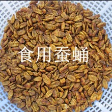 lСQӼ20kg] ɣQخaʳüzӼrك