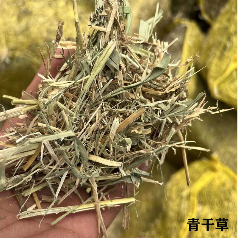 青干草捆青干草牛羊用草料青干草适口性好青草粉兔料饲料原料量大