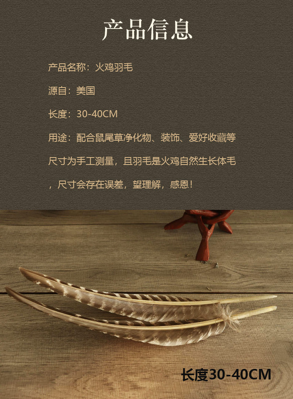 美国加州黑火鸡羽毛白鼠尾草净化引导羽毛风元素祭坛仪式圣品 图 7