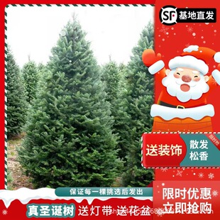 ����}�Q�����������Ų���ɼ�������Zؐ������ɘ��}�Q���Gֲ