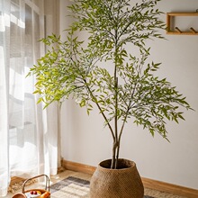 ������������;Gֲֲ�����Կ͏d�Ƶꙻ����ؼ��b��쾰�[��