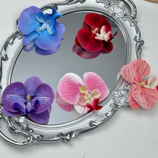 �����m���^�����l��diy���İl�c����ٻ����丣Ͱ���ֶY����