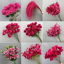 cĻYõtɫ滨Yû·廨Ż