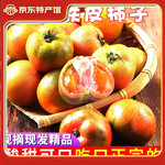 ������Ƥ������������������ӥצ��Ƥ������ˮ���߲� 5��