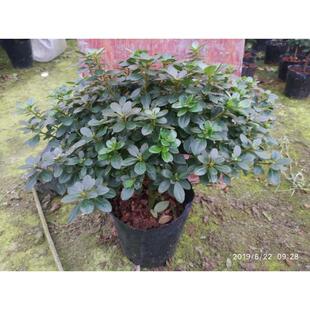 �t���ٺϲ�荶��N�� �����ļ���������r���N�� ͥԺ��̨�Gֲ����