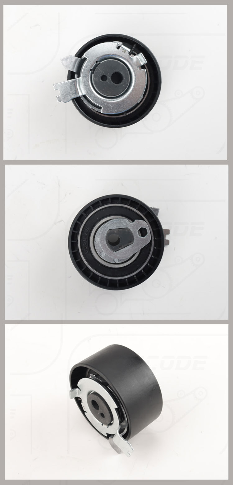 130700238R Is Suitable for Renault K4M/F4R Engine Timing Tensioner Pulley 8200623883