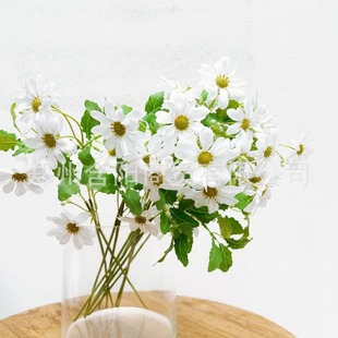 ԭ��С���OӋ�{ɫʸ܇�ռٻ� ��@�L����滨����z�����r�� ��Y