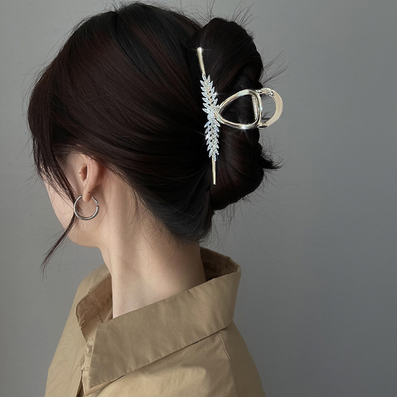 IMG_3413(20241013-123923)