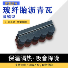 �S�Ҷ����Rِ���Ͷ�ʲ��w�͚��߄e����������ˮ�~�[�r�������l