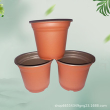 ���ϻ���S�����l �pɫ�� ������pp���躆�׻��� ���m�� ���ϻ���