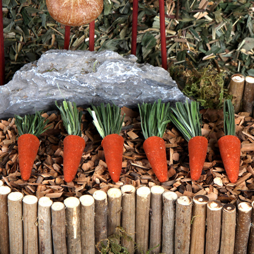 Bukka Star Hamster Carrot Teething Cookies Landscaping Supplies Edible Grass Cake Toys Golden Bear Rabbit Snacks