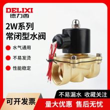 德力西2W160-15全铜电磁阀4分常闭水阀气阀 AC220V DC24V 1寸