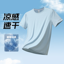 �ļ���˿�ٸ�T�����˶�����ѵ���ܲ������¿�� �������ϳ�������