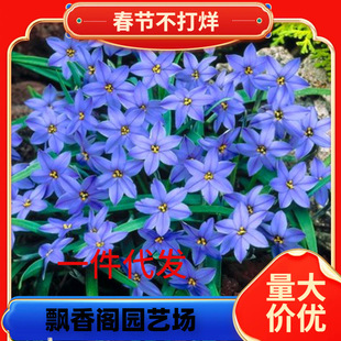 һ�����l�[�m�����L���m�²��m�[ɏʯ��ͥԺ�G�����ܹ������҃���