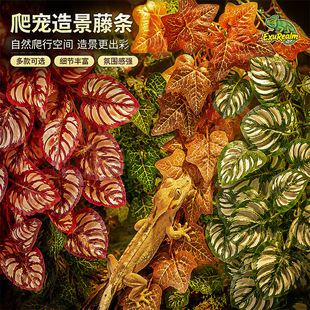 ˮ���������ڒ�����ٗl���������������ֲ����~�쾰���ָ׾��^